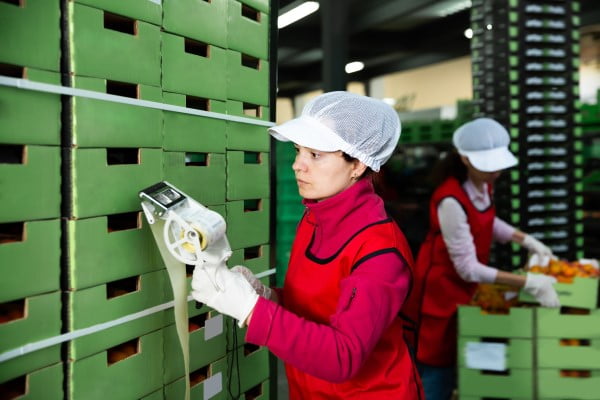 Almacenaje en cámaras refrigeradas